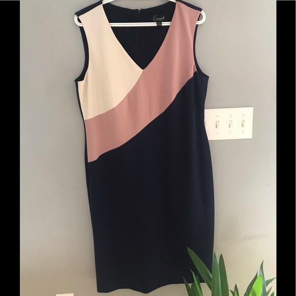 connected apparel Dresses & Skirts - Navy Pink Cream Dress